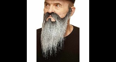 Valse baard My Other Me Grijs