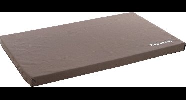 Flamingo Dreambay® - Kussen Honden - Kussen Dreambay Rechthoekig Taupe 100,5x63x5,5cm - 1st - 119943 - 1st