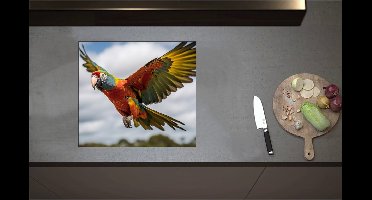 Inductieplaat Beschermer - Ara papegaai vliegt rond over bomen heen - 57x51 cm - 2 mm Dik - Inductie Beschermer - Bescherming Inductiekookplaat - Kookplaat Beschermer van Wit Vinyl
