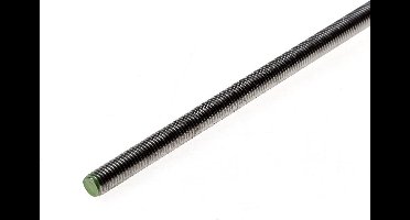 Draadeind Rvs M10 x 1000mm