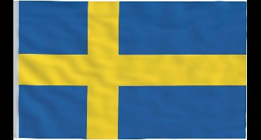 vidaXL - Vlag - Zweden - 90x150 - cm