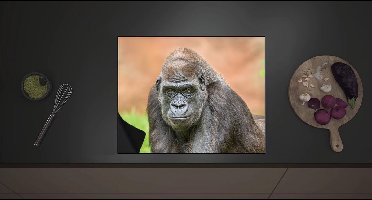 Inductieplaat Beschermer - Westelijke Laagland Gorilla van Dichtbij - 60x52 cm - 2 mm Dik - Inductie Beschermer met zwarte kern