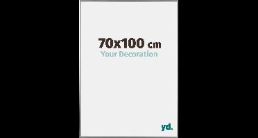 Your Decoration - Fotolijst 70x100 cm - Aluminium - Platina - Kent