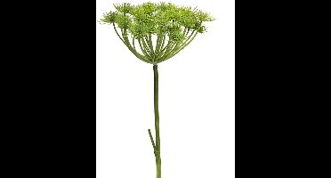 Kunstbloem Heracleum Groen - 98 cm