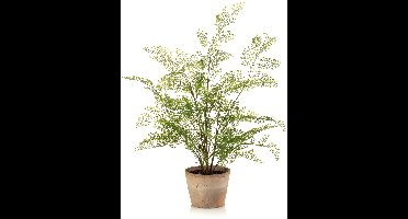 Fleurdirect Kunstplant Adianthum Fern - Kunststof / Metaal - Groen - 0 x 65 x 0 cm (BxHxD)