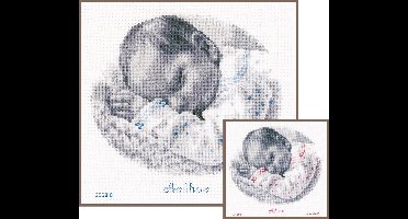 Vervaco - Telpakket kit - Geboorte - Slapende baby - PN-0169612 - Borduren - Borduurpakket - Borduurpakket geboorte - Borduurpakket volwassenen