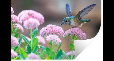 Muurstickers - Sticker Folie - Bloemen - Vogel - Kolibrie - 30x20 cm - Plakfolie - Muurstickers Kinderkamer - Zelfklevend Behang - Zelfklevend behangpapier - Stickerfolie