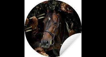 WallCircle - Muurstickers - Behangcirkel - Paard - Bloemen - Licht - Halster - ⌀ 30 cm - Muurcirkel - Zelfklevend - Ronde Behangsticker
