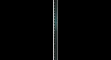 Scheppach 73220703 Lintzaagblad geschikt voor BASA1 - 24TPI