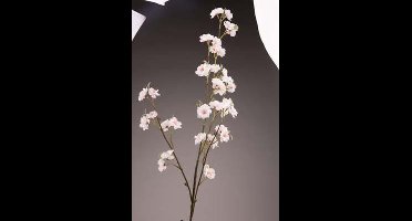 Tak Blossom Lichtroze 30x15xh111cm Kunststof