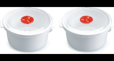 PlasticForte Magnetron bakje - 2x stuks - 2 liter - voedsel opwarmen - 22 x 20 x 10 cm
