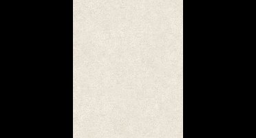 Betonlook - Behang - Industrieel - Vliesbehang - Vintage Deluxe - 0,53 x 10,05 M.