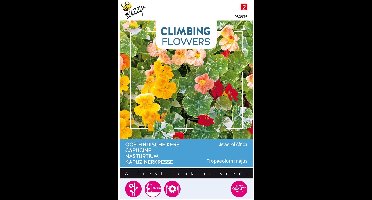 Buzzy  Flowering Climbers Tropaeolum Jewel of Africa Bloemzaad