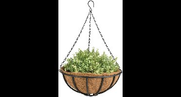 Esschert Design Metalen hang basket mand / plantenbak - 2x - met ketting - Dia 35 cm - inclusief kokosinlegvel - Hangende bloemen en planten
