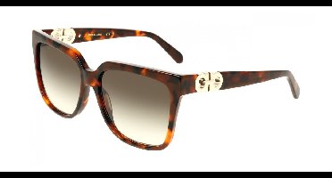 Ferragamo SF2109S Tortoise 58/16/145 WOMAN Zonnebrillen