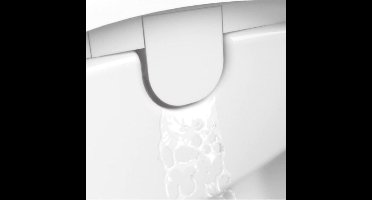 Roca In-Wash Inspira staande douchetoilet