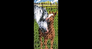 Paard met veulen borduren (pakket)