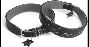 Leren halsband Chien. Zwart.