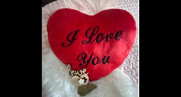 Hart - I love you kussen