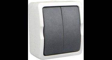 Ratio Dubbele opbouwschakelaar - spatwaterdicht IP54 - grijs/wit