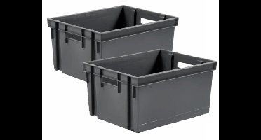 EDA Opbergkrat stapelbaar - 2x - kunststof - 10 Liter - L32 x B26 x H18 cm - grijs - opbergbak - opbergen
