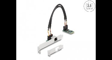 Delock M.2 Key B+M 1 x RJ45 2.5 Gigabit LAN Network Card