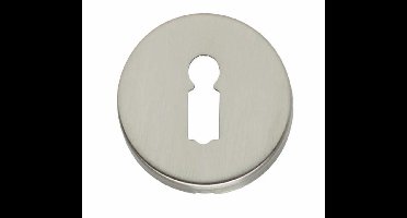 Intersteel Rozet met sleutelgat rond verdekt nikkel mat