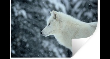 Muurstickers - Sticker Folie - Wolf - Sneeuw - Bomen - 30x20 cm - Plakfolie - Muurstickers Kinderkamer - Zelfklevend Behang - Zelfklevend behangpapier - Stickerfolie