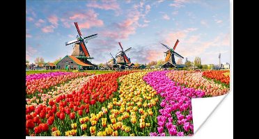 Poster Windmolen - Bloemen - Zaanstad - 30x20 cm