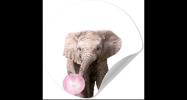 Behangsticker kind - Wanddecoratie jongens - Olifant - Roze - Kauwgom - Meisjes - Kinderen - Dieren - 30x30 cm - Muursticker kinderkamer - Schilderij voor kinderen