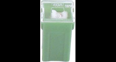FLF-E pal zekering 40 amp 1 stuk