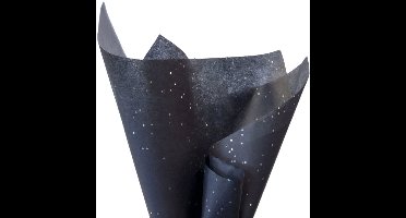 KP Vloeipapier Gemstones Zwart - Holografische stippeltjes - 48 vellen