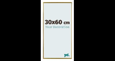 Your Decoration - Fotolijst 30x60 cm - Kunststof - Goud - Evry