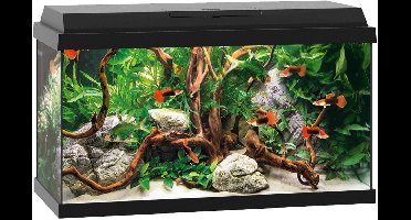 Juwel Primo Aquarium - 61 x 31 x 37 cm - 60 L - Zwart