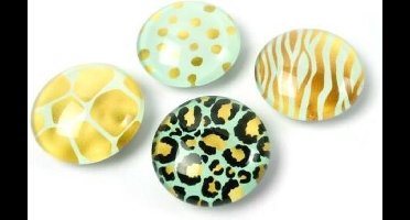 Trendform Wild Eye magneten set 4 stuks