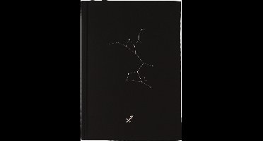 D6053-09 Dreamnotes notitieboek sterrenbeeld: boogschutter 19 x 13,5 cm