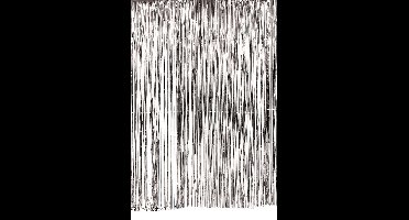 Deur gordijn franje folie ZILVER  hoog - 200 x 100cm.