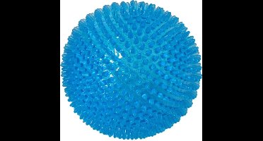 Hondenspeelgoed bal 12.5 cm drijvend blauw
