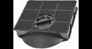 Sauter Koolstoffilter 77X2982 / Type 303