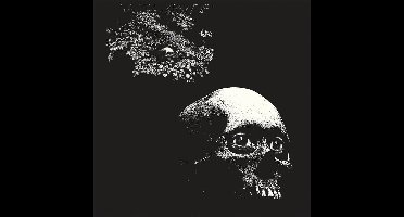 Thee Oh Sees - A Foul Form (CD)