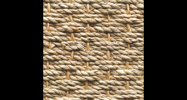 Seagrass Vloerkleed Naturel | 200 x 290 cm