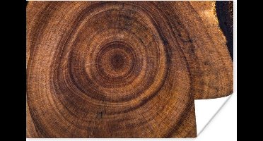 Poster Cirkel - Hout - Ringen - 30x20 cm