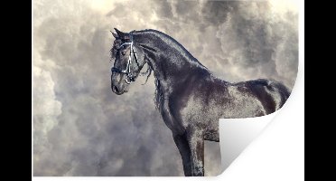 Muurstickers - Sticker Folie - Fries - Paarden - Portret - 30x20 cm - Plakfolie - Muurstickers Kinderkamer - Zelfklevend Behang - Zelfklevend behangpapier - Stickerfolie