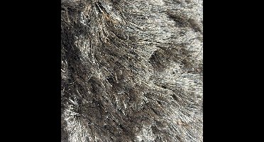 Vloerkleed Four Seasons Ash | 240 x 340 cm