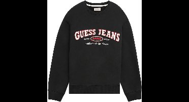 Sweatshirt Guess Original Design