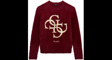 Meisjes trui met lange mouwen Guess