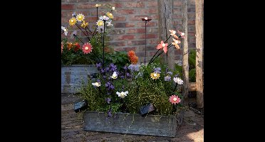 Kaemingk | Solar Zonnebloem Metaal Steady | 6 x 6 x 60 cm