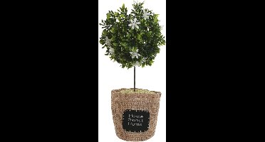 ITEM Deurstopper plant - 1 kilo - wit - polyester - 18 x 18 x 26 cm - boompje - Home Sweet Home