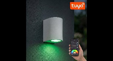 SMART LED Wandlamp | Tuya / WiFi | Sacramento | Incl. lichtbron | Wit