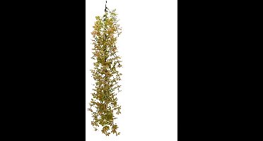 Buitengewoon de boet - Hanger gynostemma pentaphyllum 75 cm kunsttak